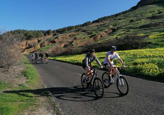 Fantastiska Landskap