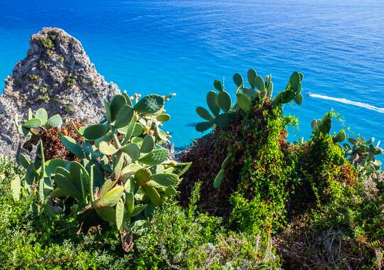 Tropea – kuststaden på klippan