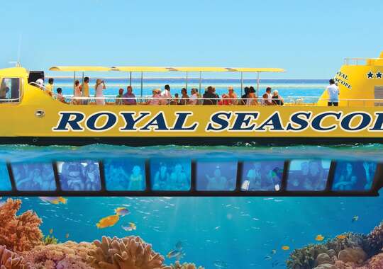 SEA SCOPE + 30 Minutter Snorkling 