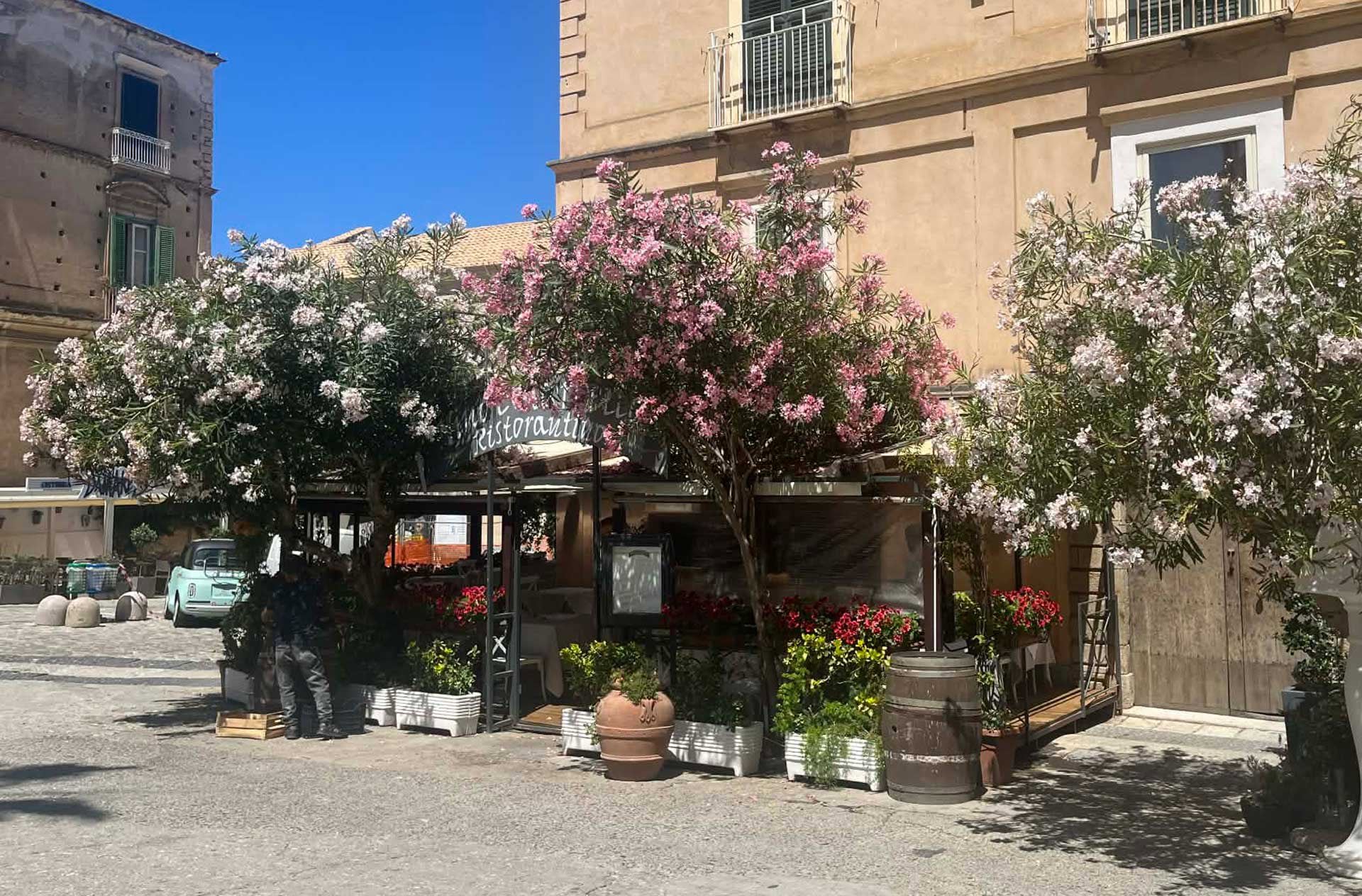 Tropea 